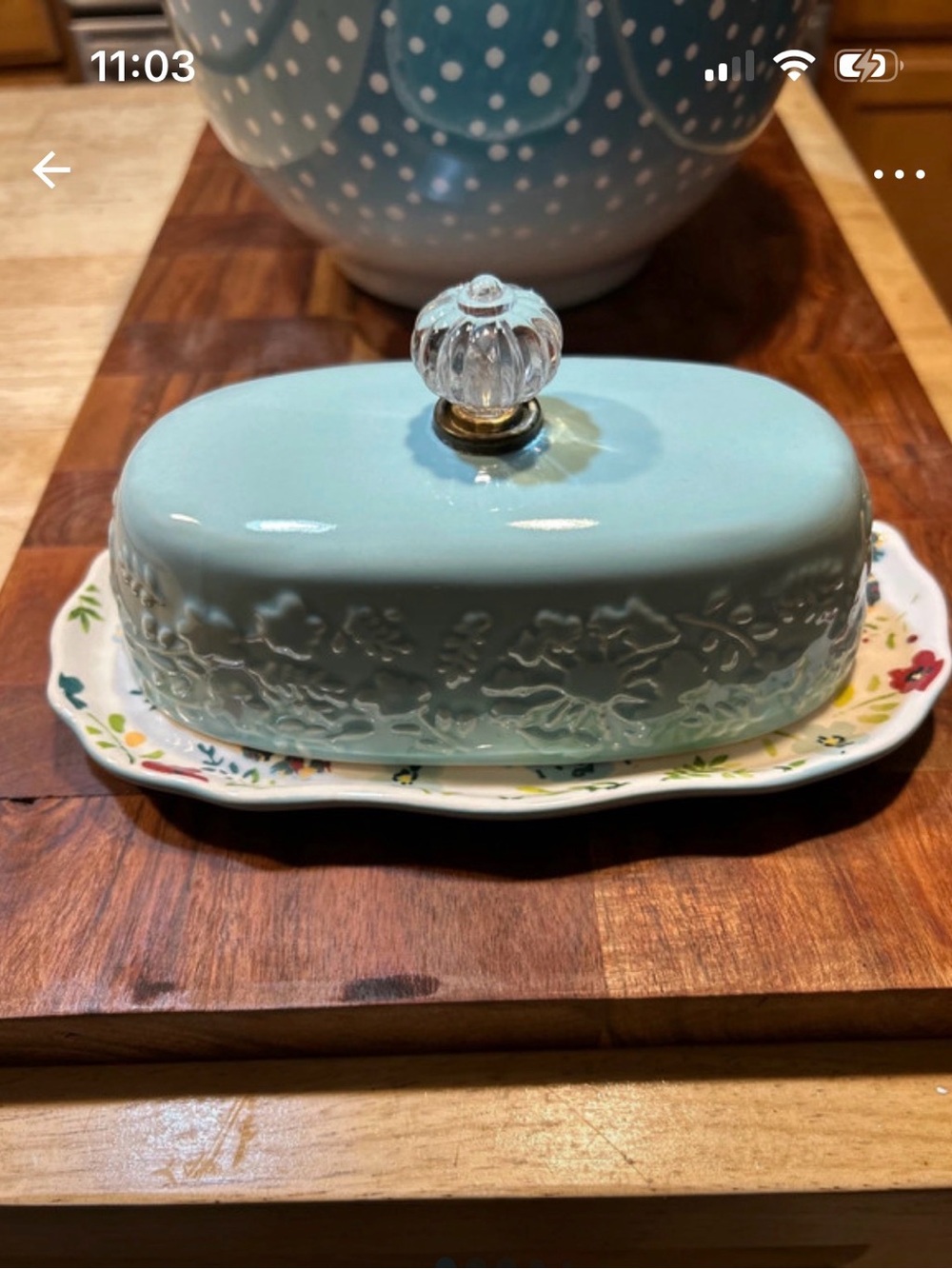 Pioneer Woman Ceramic Butter Dish with Glass Knob new condition